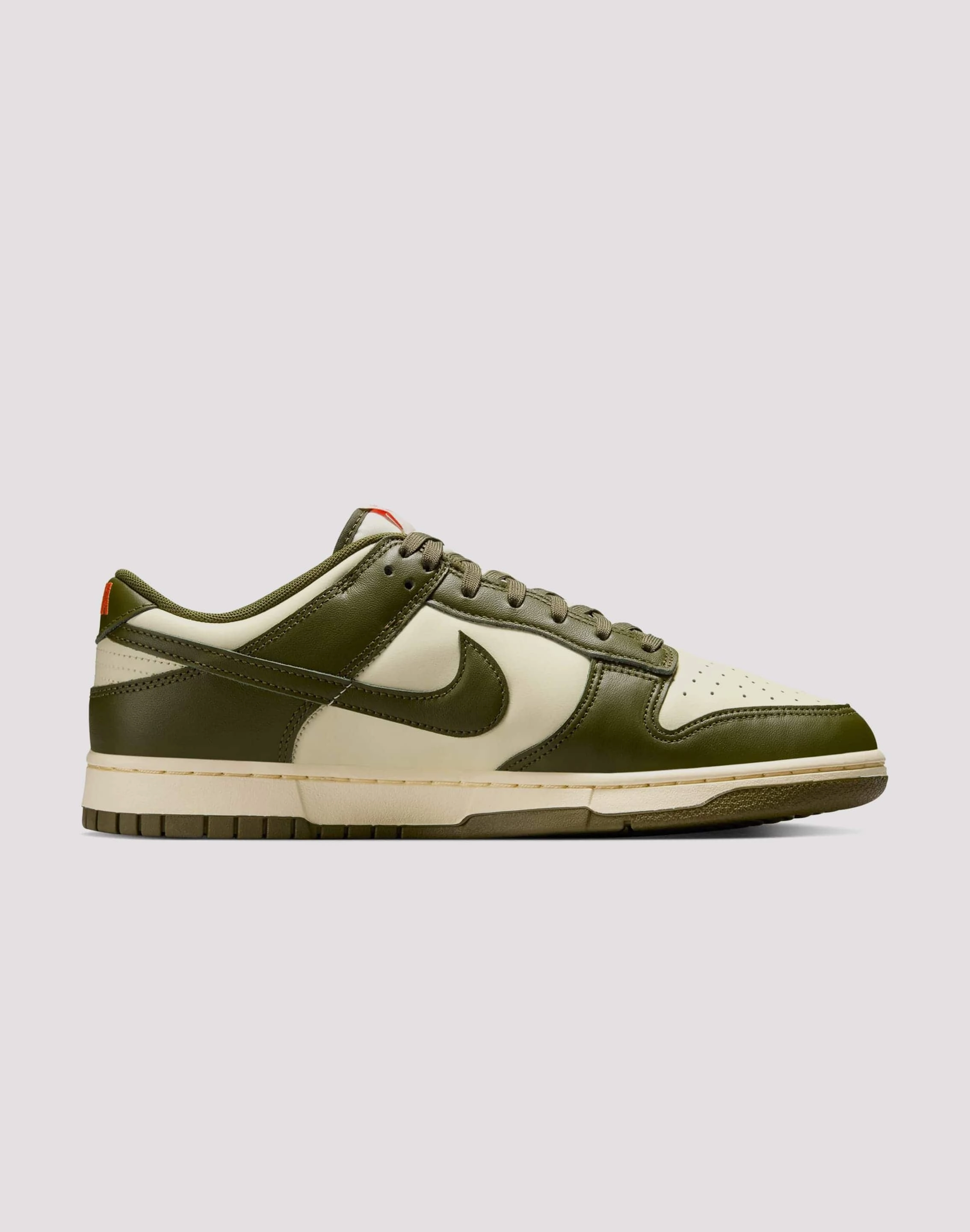 Nike Dunk Low Retro Luxe support Athletic Performance
