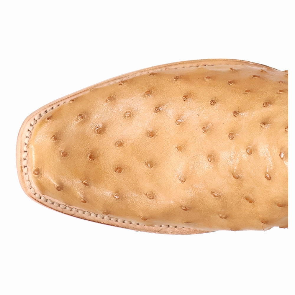 Trend-setting wear Brady Full Quill Ostrich Embroidered Square Toe Pull On Cowboy Boots