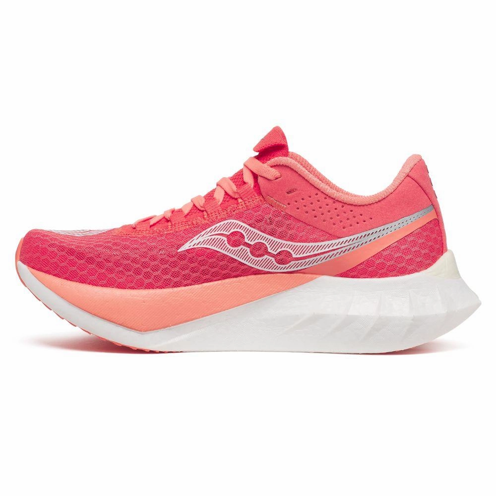 mountain gear SAUCONY ENDORPHIN PRO 4 ?????????????????????
