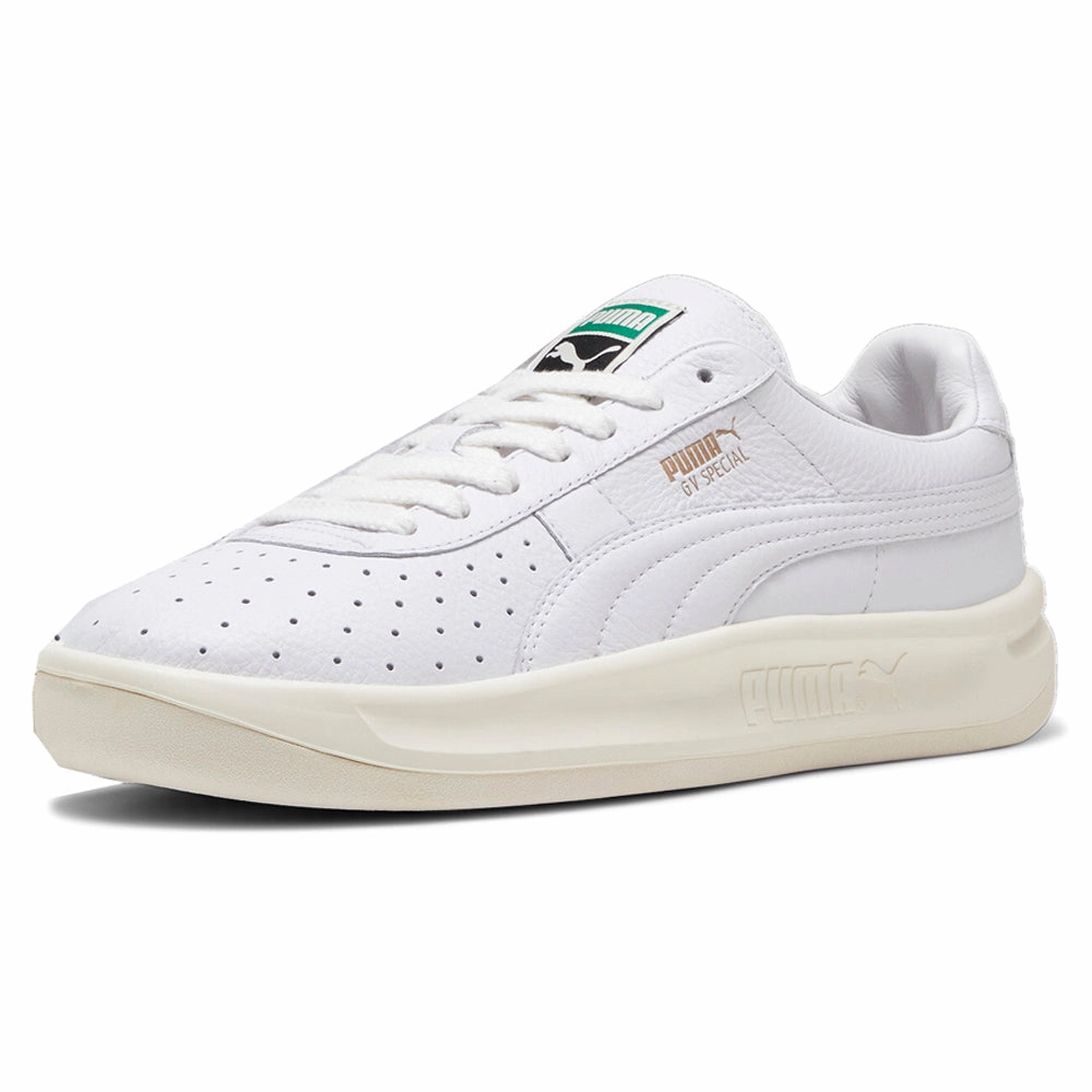 Gv Special Contoured Arch Shape tried