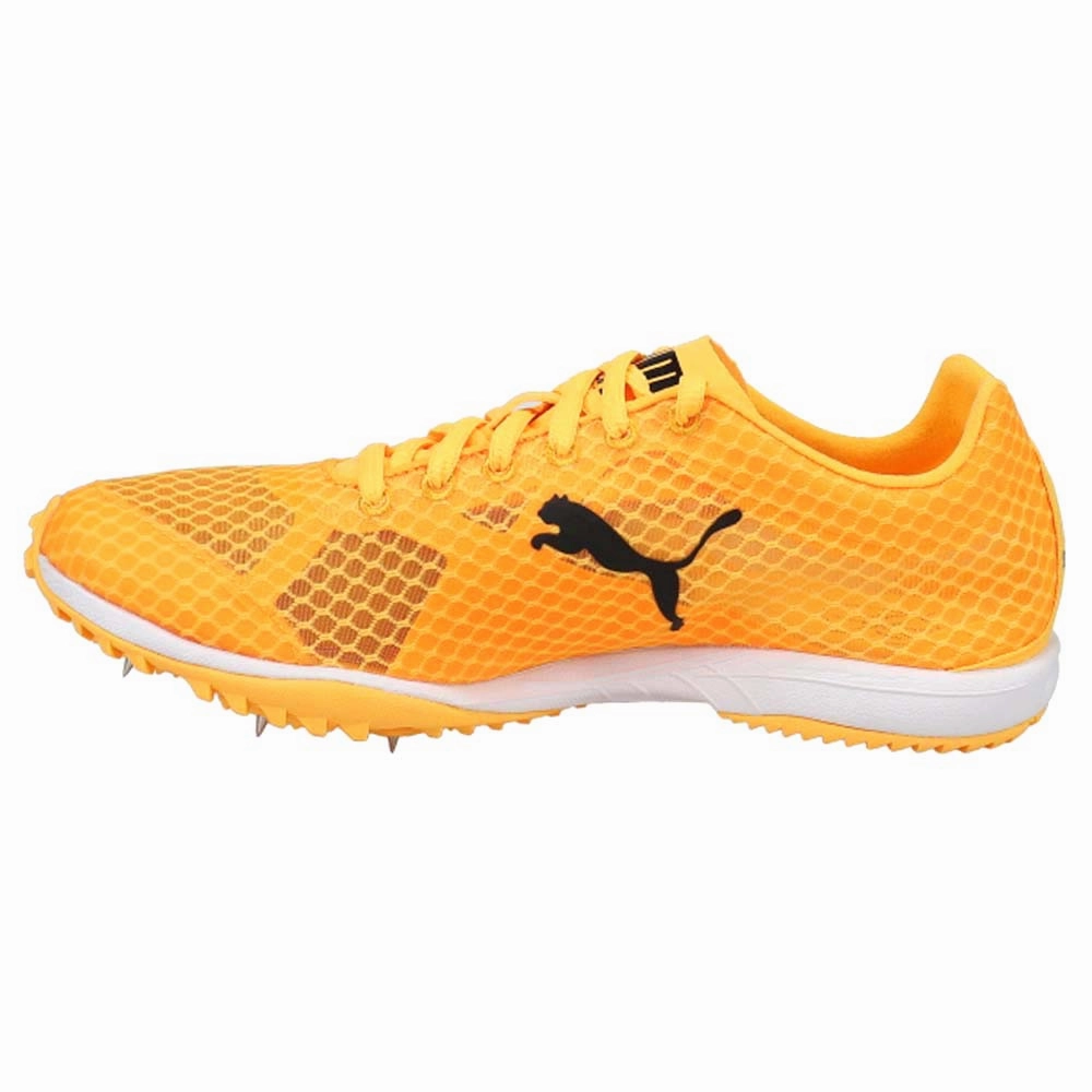 Casual grip Evospeed Haraka 7 Track & Field Shoes
