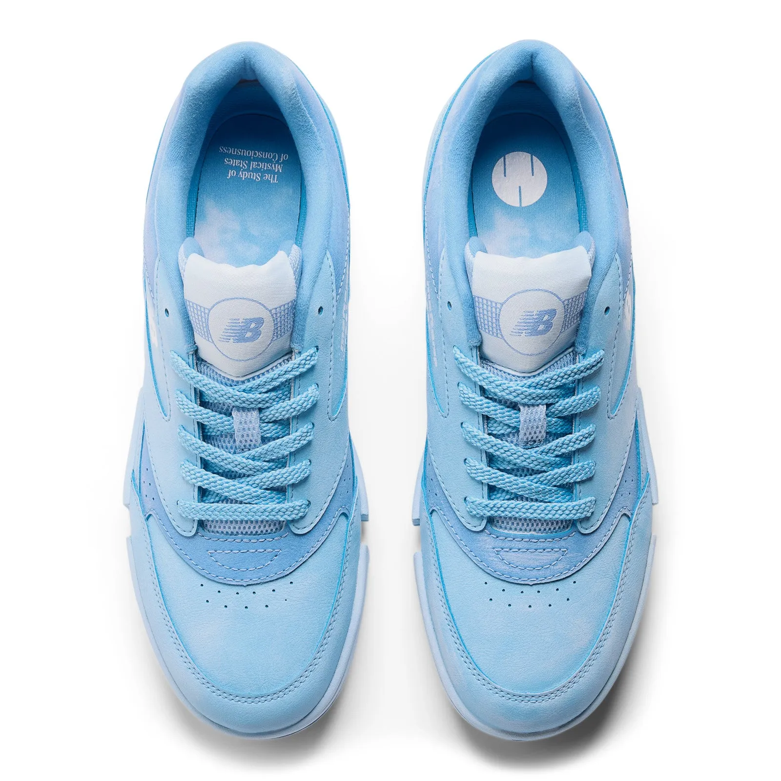 Sustainable Manufacturing Process   MSFTSrep 0.01 'Baltic Sea'