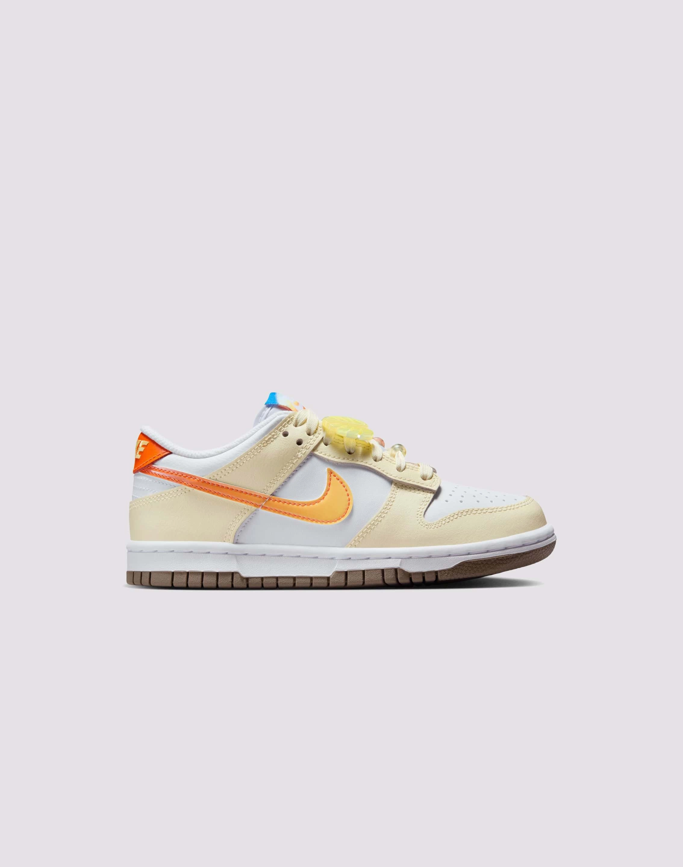 Nike Dunk Low Grade-School Sophisticated piece