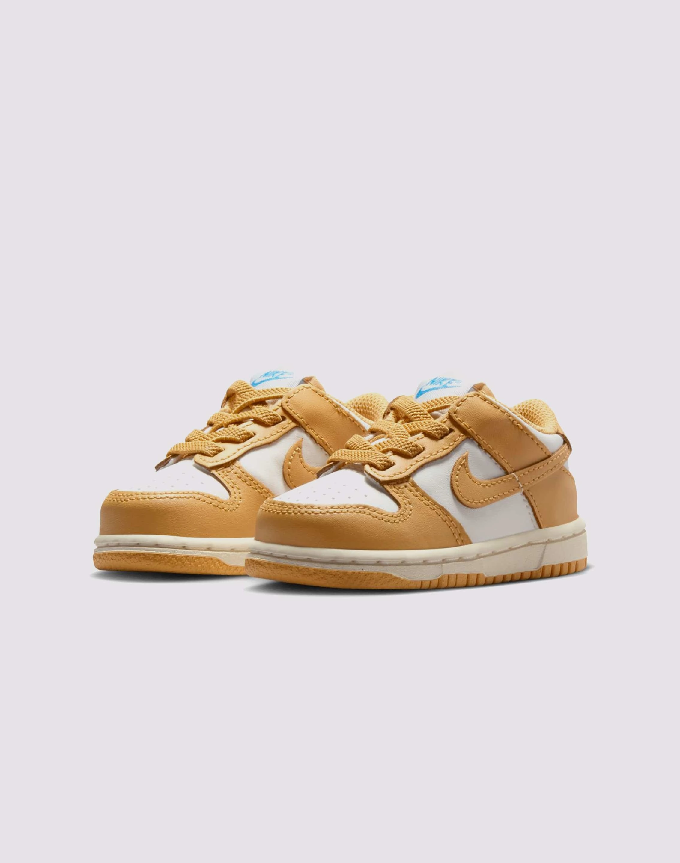 Hygienic Lining Nike Dunk Low Toddler
