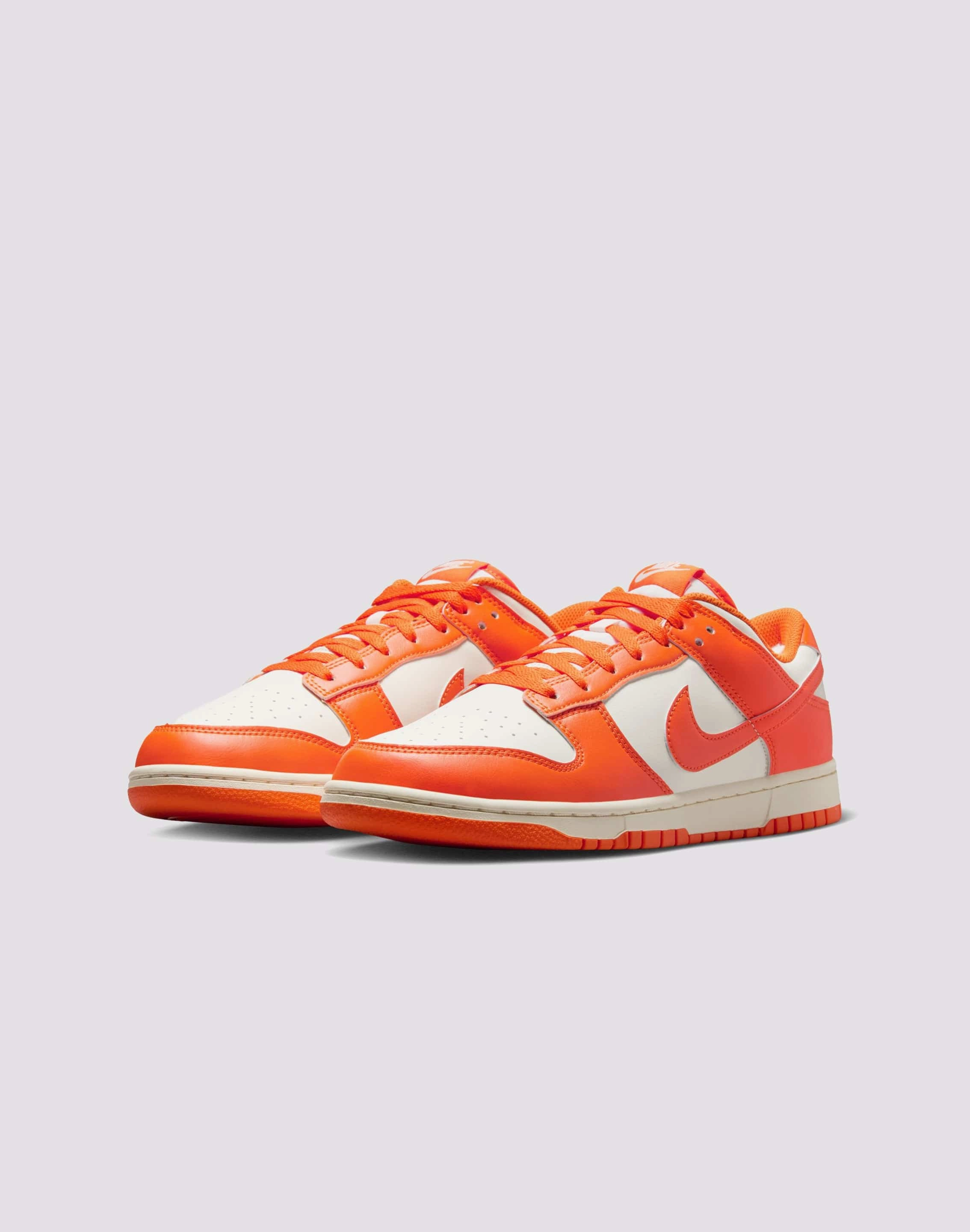 Skiing sunny Nike Dunk Low Retro