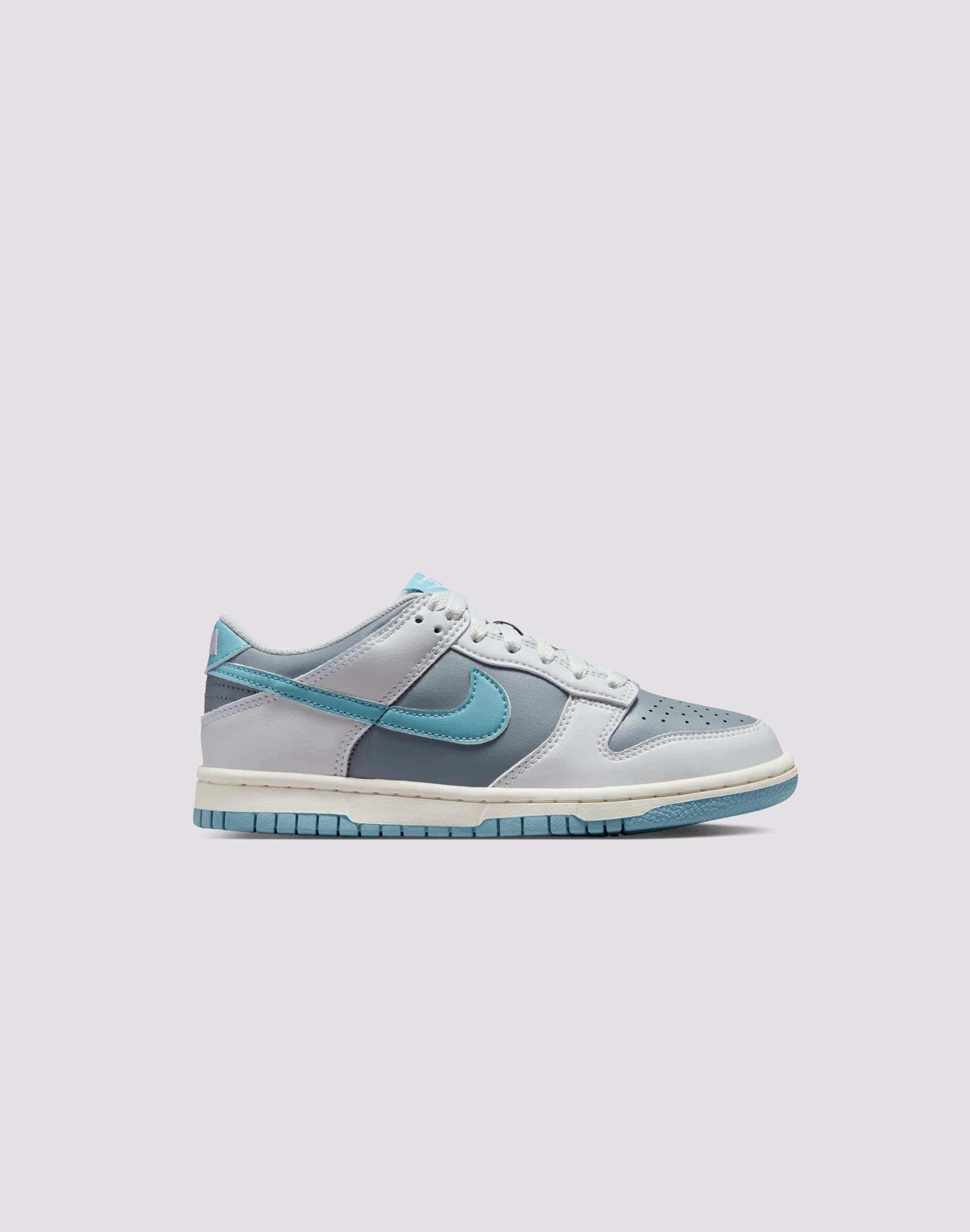 Nike Dunk Low Grade-School insole - type