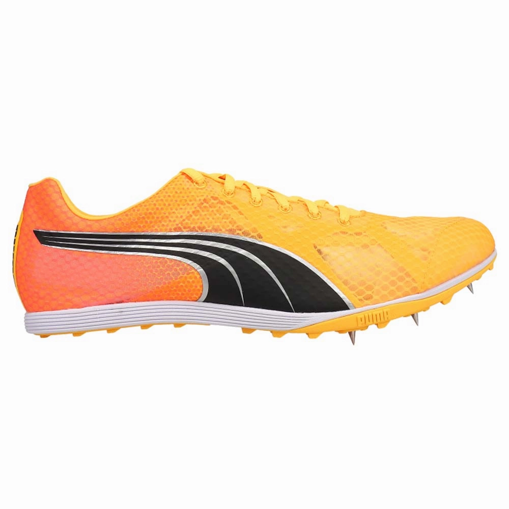 Vibrant Style Evospeed Crossfox 4 Track & Field Shoes