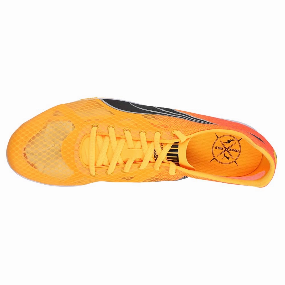 All-purpose stability Evospeed Crossfox 4 Track & Field Shoes