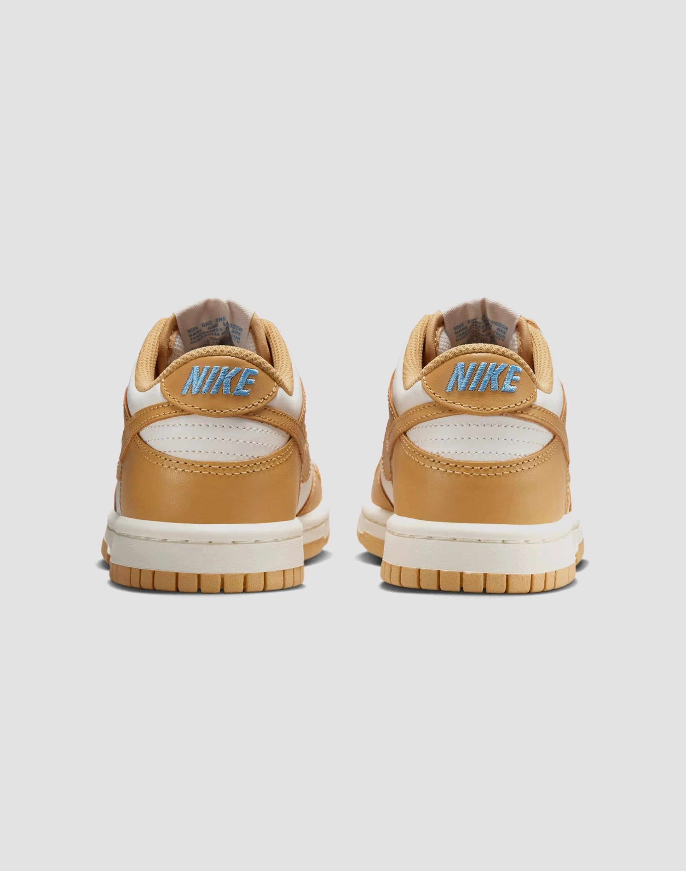 Nike Dunk Low Grade-School Brand